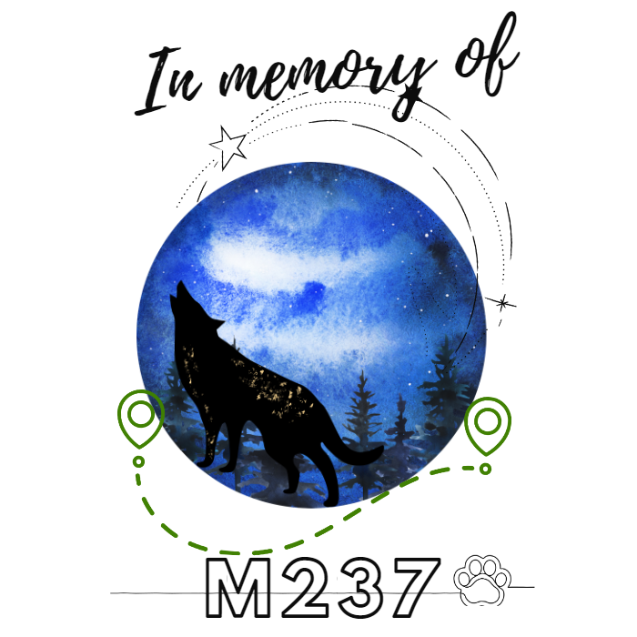 In Memory Of M237 (v1) Unisex T-Shirt