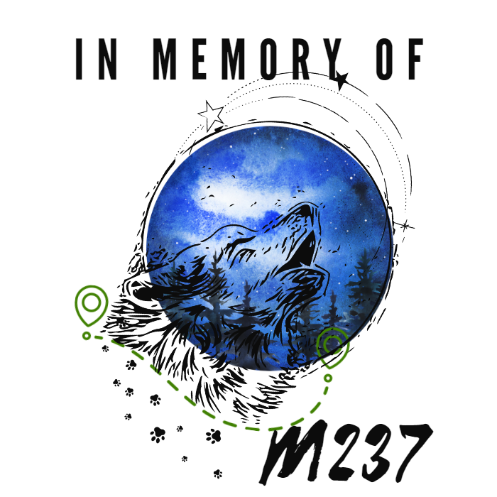 In Memory Of M237 (v2) Unisex T-Shirt